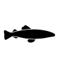 Pastrav